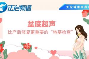 易海腾：盆底超声：比产后修复更重要的“地基检查”